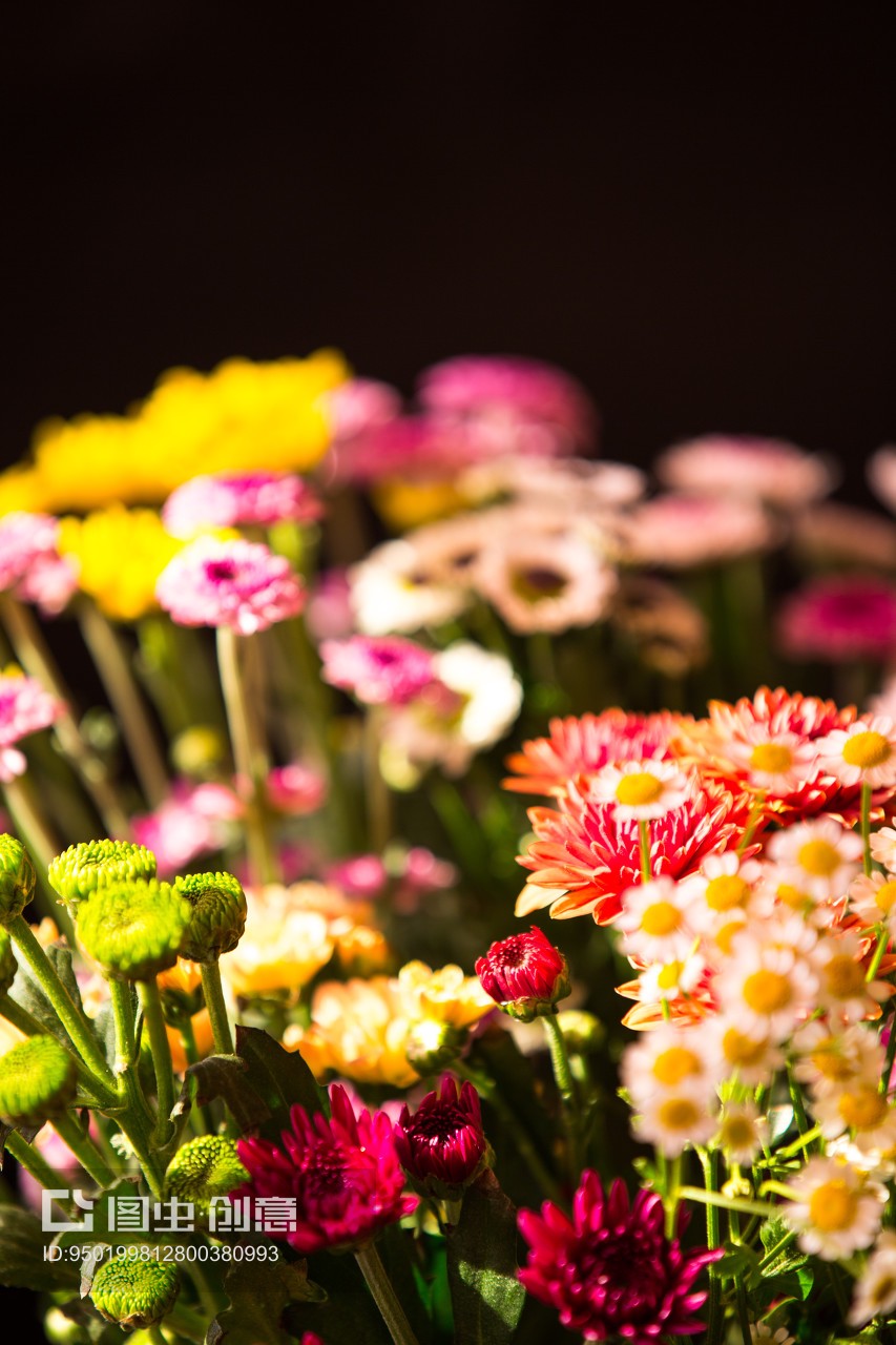 昆明斗南花市 鮮花與禮品花卉的銷售盛景